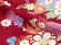 画像6: 赤ちゃんの着物 初節句 お誕生日に 1歳女児用 袴ワンピース【着物：赤、菊に水引き 袴：ピンク】 (6)