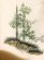 画像4: お宮参り 男の子 着物 正絹 日本製 高級 素描き 正絹 赤ちゃんのお祝い着 初着 産着【茶系、虎と富士】 (4)
