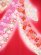 画像4: 産着 お宮参りの着物 日本製 女の子のお祝い着（初着） 正絹【赤 束ね熨斗】 (4)