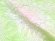 画像2: 子供兵児帯 女の子 正絹 絞り へこ帯 三尺帯 NEOAURA 浴衣や七五三の着物に【ひわ色-淡黄緑-】 (2)