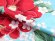 画像4: 卒業式 袴 セット レディース H・L ブランド 二尺袖の着物 ショート丈 刺繍袴セット 【水色 牡丹】 (4)