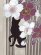 画像3: H・L (アッシュ・エル) レディース浴衣 フリーサイズ ダスティカラー 女性用浴衣 単品【サンドベージュ系、猫に桜】 (3)