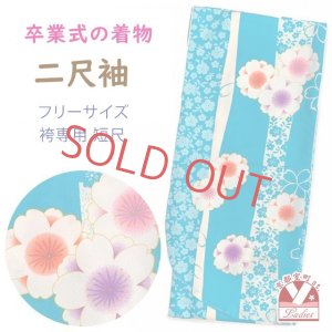 画像1: 二尺袖着物 単品 ショート丈 洗える着物 卒業式の着物 かわいい小紋柄【水色、桜】 (1)
