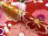 画像5: 七五三 着物 7歳 女の子 正絹 絵羽柄 金駒刺繍 日本製 子供着物 単品【赤ｘクリーム、菊と桜】 (5)