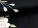 画像8: 七五三 7歳 女の子用 正絹 金駒刺繍 絵羽付け 四つ身の着物 日本製【黒地、桜満開】 (8)