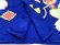 画像5: 七五三 7歳 女の子 着物セット 日本製 正絹 手描き 金駒刺繍 絵羽付け 四つ身の着物と結び帯 フルセット【群青、宝尽くし】 (5)