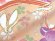 画像7: 七五三 着物 7歳 2023年新作 女の子用 日本製 絵羽柄の四つ身の子供着物 単品 合繊【白、うさぎにエ霞、橘】 (7)