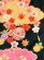画像3: 七五三 着物 7歳女の子 日本製 絵羽柄の子ども着物フルセット(正絹)【黒地、雲に鈴・梅】購入 販売 (3)