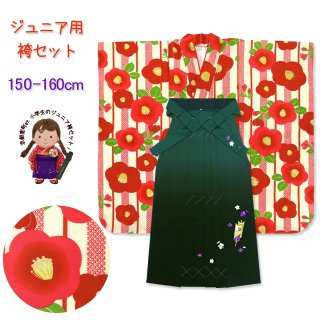 袴セット 小学校 卒業式 ジュニア 女子用 ＞ 通販 京都室町st．
