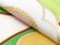 画像5: 七五三 7歳 着物 正絹 フルセット 女の子 ブランド「紅一点」 四つ身 作り帯のセット【生成りｘ黄緑、笹に梅】 (5)