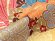 画像3: 女の子 七五三 フルセット 式部浪漫姉妹ブランド KAGURA 総柄 着物 結び帯セット 合繊【ブラウン、花束と水引き】 (3)