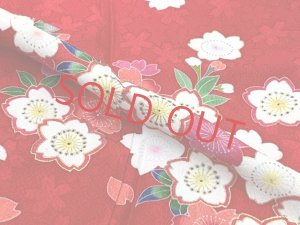 画像4: 七五三 着物 3歳 女の子 フルセット 正絹 友禅柄 三つ身の絵羽着物 小寸結び帯・小物セット【赤、桜】 (4)