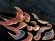 画像6: 七五三 5歳 男の子 正絹 金駒刺繍入り 羽織 着物と縞袴セット【黒系、歌舞伎】 (6)