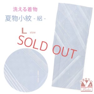 画像1: 洗える着物 絽 駒絽 小紋 夏物 夏きもの レディース Lサイズ【水色系、秋空のトンボ】 (1)