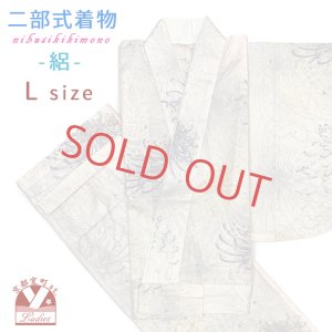 画像1: 夏の二部式着物 洗える着物 絽 小紋柄の着物 Lサイズ【生成り系、糸菊】 (1)