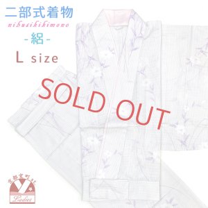 画像1: 夏の二部式着物 洗える着物 絽 小紋柄の着物 Lサイズ【薄紫系ストライプ、桔梗】 (1)