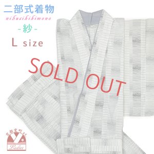 画像1: 夏の二部式着物 洗える着物 紗 小紋柄の着物 Lサイズ【オフホワイト系、変わり縞】 (1)