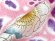 画像4: 七五三 着物 7歳 女の子 フルセット 古典柄 総柄の子供着物セット 合繊【ピンク、辻が花風】 (4)