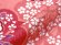 画像4: 子供着物(合繊)＆刺繍袴セット 卒園式 入学式 七五三 に【ピンク、桜】 (4)