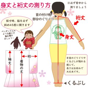画像9: 七五三 3歳 着物 2025年新作  ”紅一点”ブランド 正絹 被布コートセット【オフホワイトx赤系、ねじ梅・古典柄】 (9)