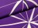 画像4: 卒業式の着物 小紋柄の二尺袖 単品 ショート丈 フリーサイズ【紫、麻の葉】 (4)