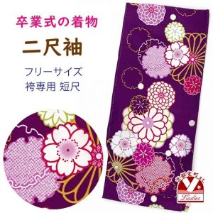 画像1: 卒業式の着物 小紋柄の二尺袖 単品 ショート丈 フリーサイズ【紫、菊と桜・雪輪】 (1)