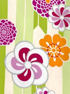 画像3: 卒業式の着物 小紋柄の二尺袖 単品 ショート丈 フリーサイズ【生成りｘ抹茶、矢羽にねじり梅】 (3)