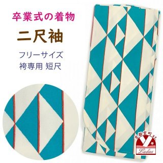 二尺袖着物 単品 ショート丈 洗える着物 卒業式の着物 かわいい