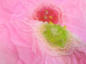 画像6: 女の子浴衣 へこ帯セット 90サイズ こども浴衣 絞り染め兵児帯 セット【青緑系、花】 (6)