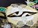 画像5: お宮参り 男の子 着物 正絹 日本製 金駒刺? 赤ちゃんのお祝い着(初着 産着) 襦袢付き【黒地、向かい鶴】 (5)