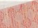 画像3: レディース 浴衣帯 珍しい麻と和紙の混紡素材の小袋帯 夏帯 半幅帯【オレンジ系、青海波】 (3)