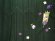 画像3: 卒業式 袴 女性用 刺繍入りぼかし袴【濃淡緑、矢羽根・梅】[S/M/L/2Lサイズ] (3)