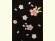 画像3: 卒園式 入学式 七五三 に ７歳女の子用 桜刺繍の子供袴【黒】 紐下丈70cm(120サイズ) (3)