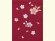 画像3: 七五三 3歳女の子用 桜刺繍の子供袴【ローズ】 紐下丈55cm(100サイズ) (3)